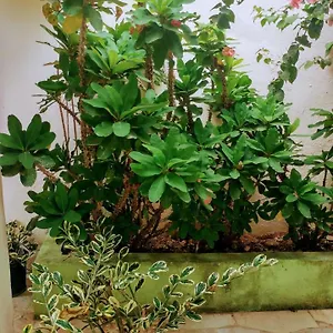 https://apartahotel-carla.comcaribbean.com